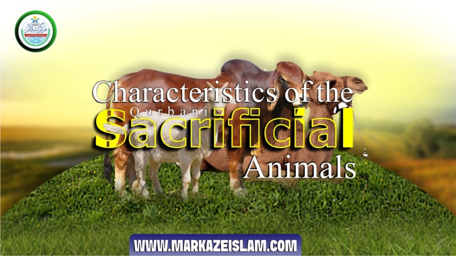 Characteristics of the Animals for Qurbani (Sacrifice)